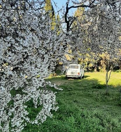 Domo Mia Bed & Breakfast Telti Dış mekan fotoğraf