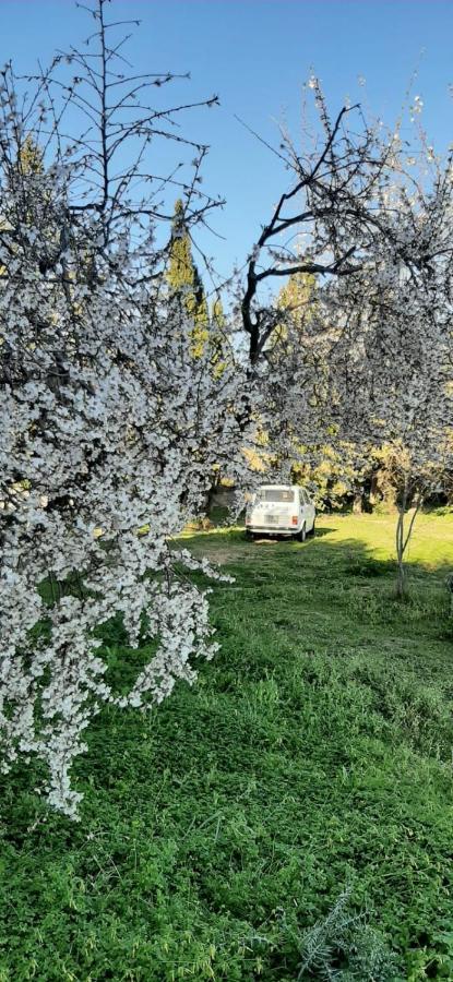 Domo Mia Bed & Breakfast Telti Dış mekan fotoğraf